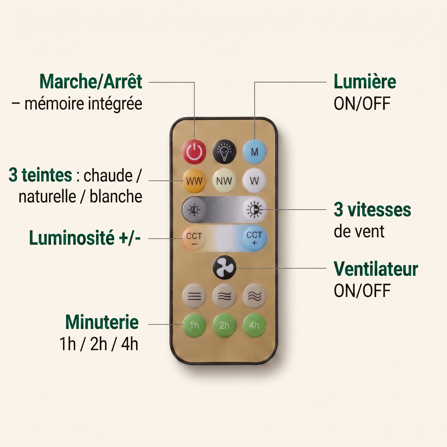 Ventilateur De Plafond Avec Lumière LED Et Télécommande