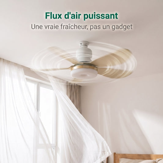 Ventilateur De Plafond Avec Lumière LED Et Télécommande